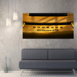 Chromalux 'Golden Porsche'